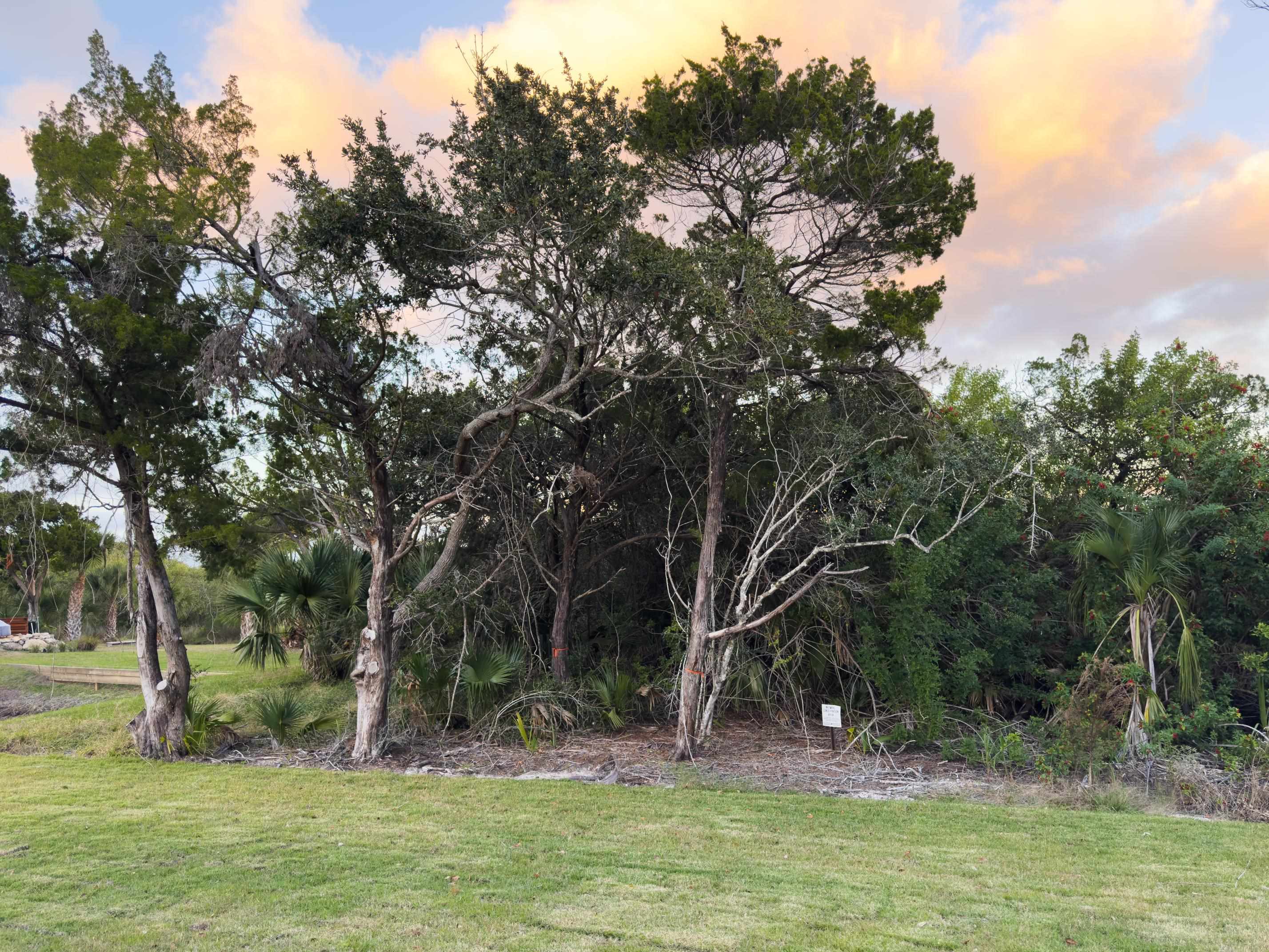 2549 Palm Avenue Flagler Beach, FL 32136 - Photo 65 of 65 a view of outdoor space with trees all around