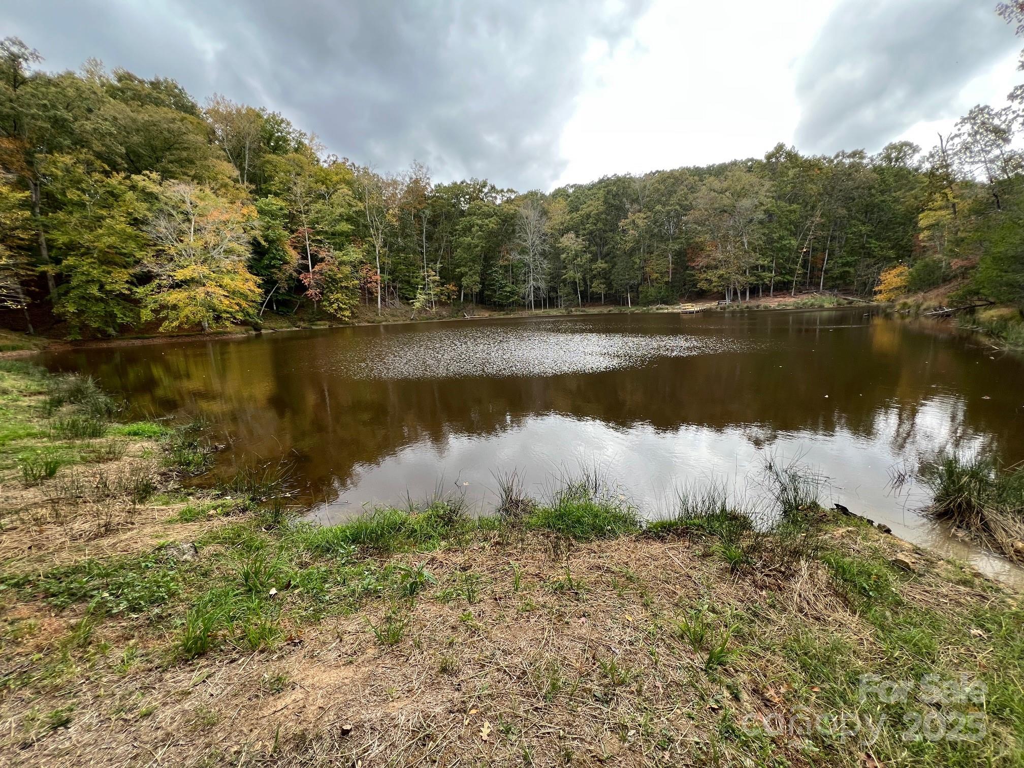 8277 Lockhart Road Sharon, SC 29742 - Photo 14 of 48 a view of a lake in middle of forest
