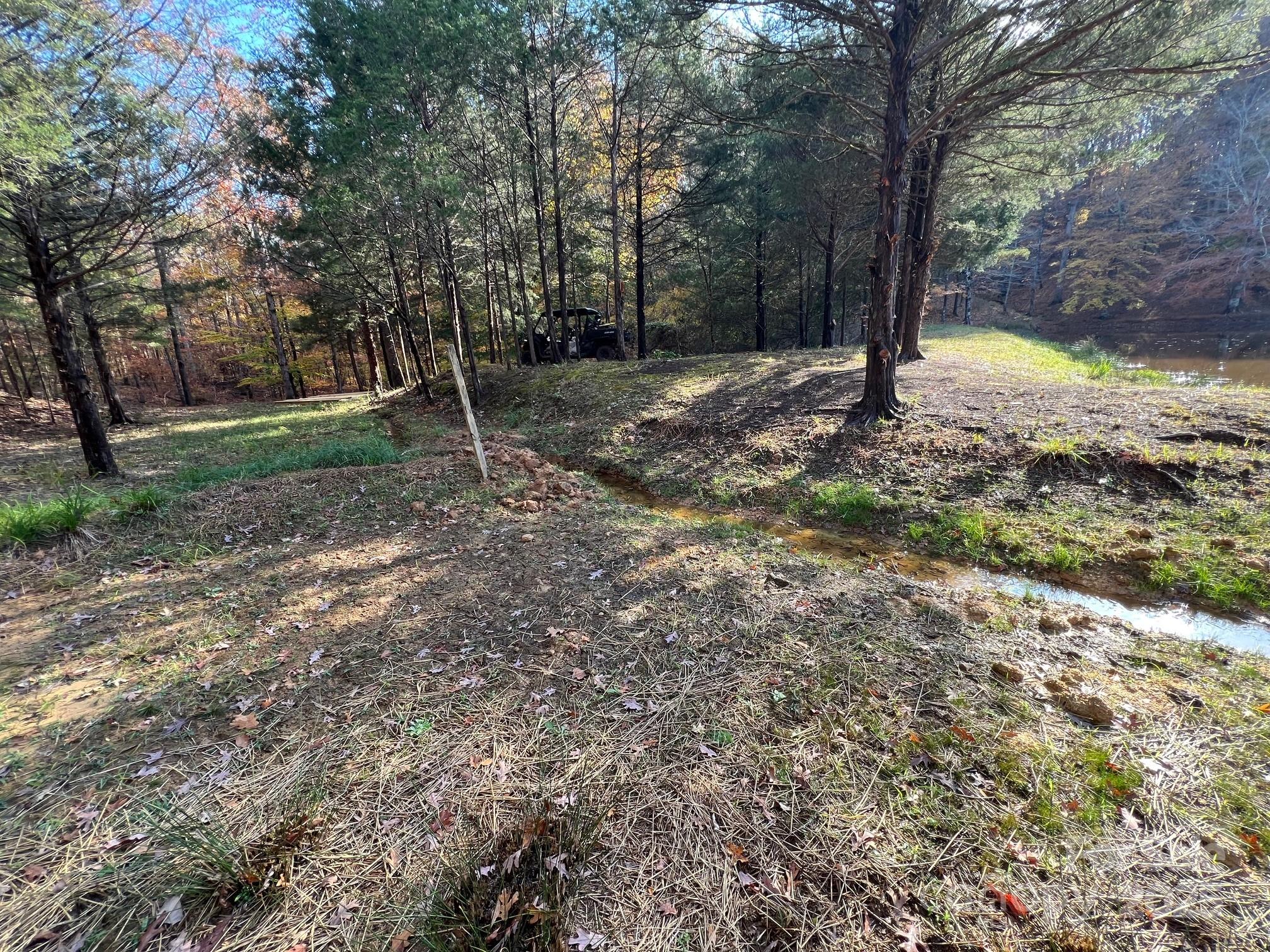 8277 Lockhart Road Sharon, SC 29742 - Photo 16 of 48 a backyard of a house with lots of green space