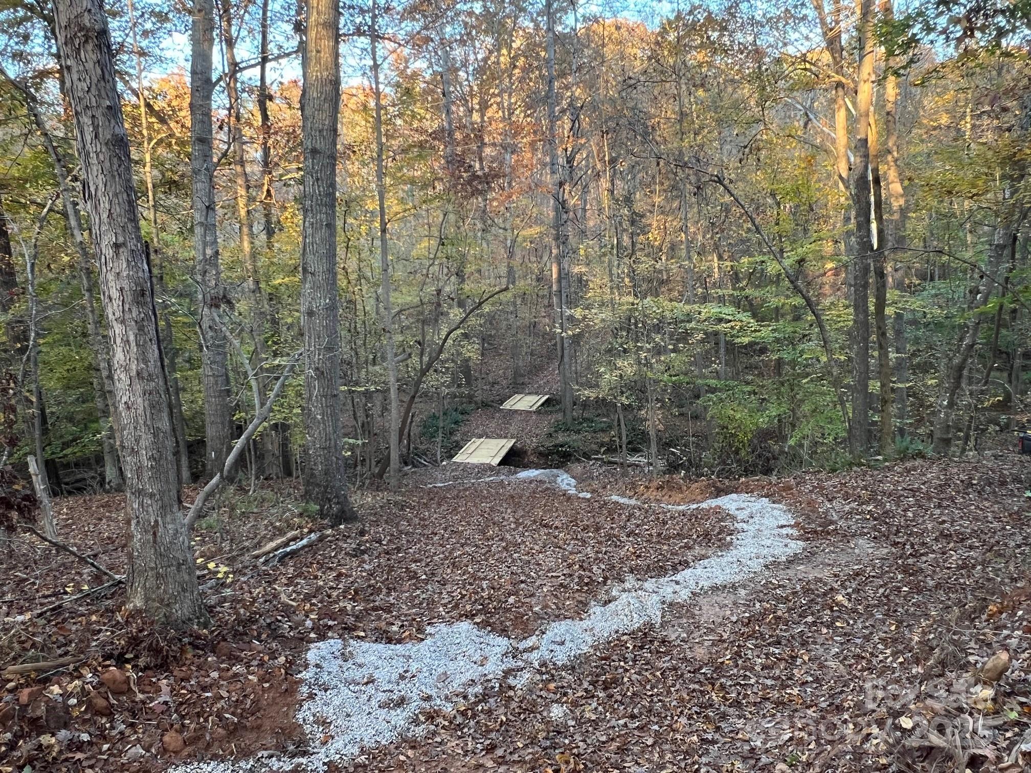 8277 Lockhart Road Sharon, SC 29742 - Photo 20 of 48 a view of a forest with trees