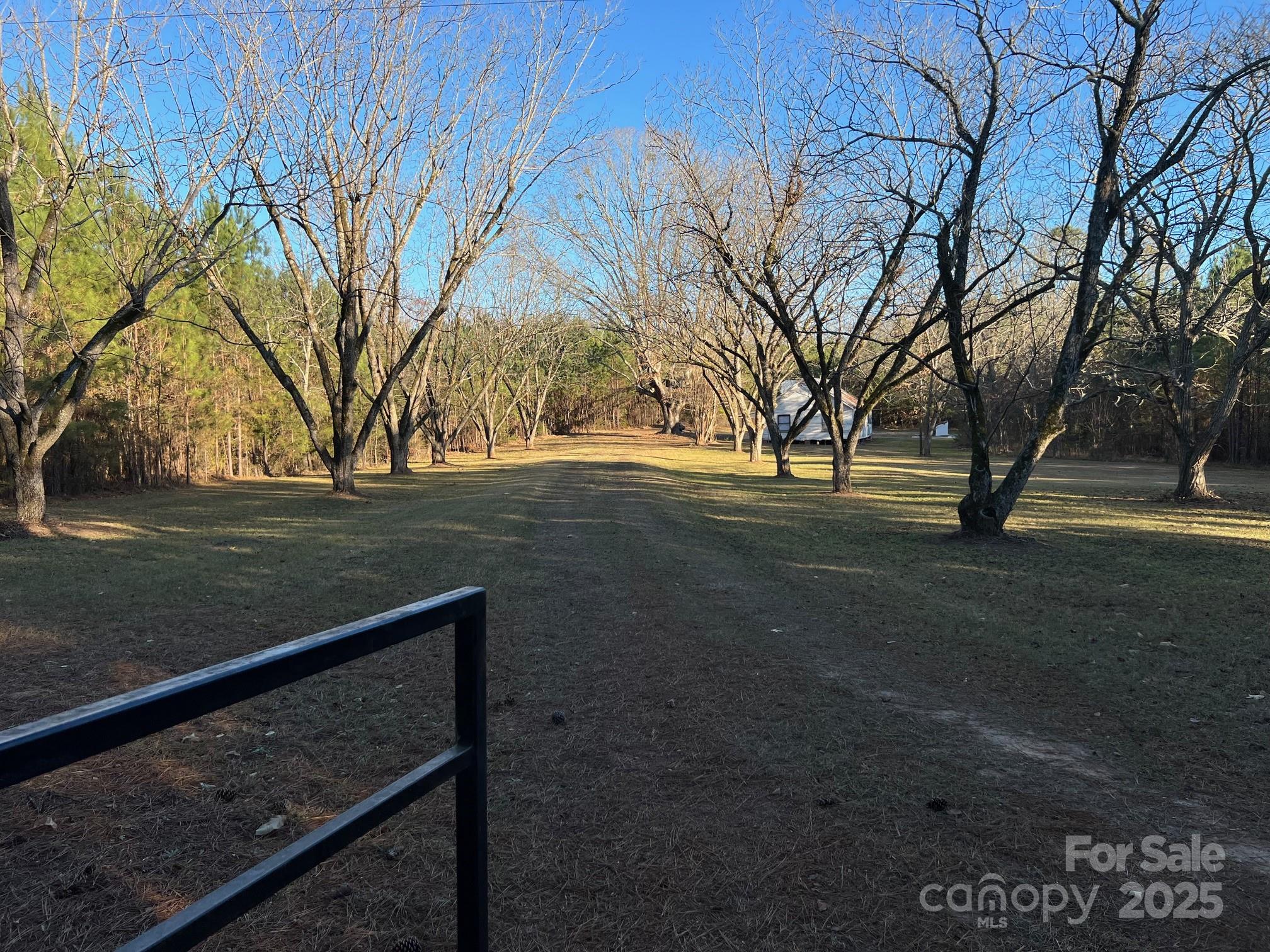 8277 Lockhart Road Sharon, SC 29742 - Photo 2 of 48 a view of backyard with green space