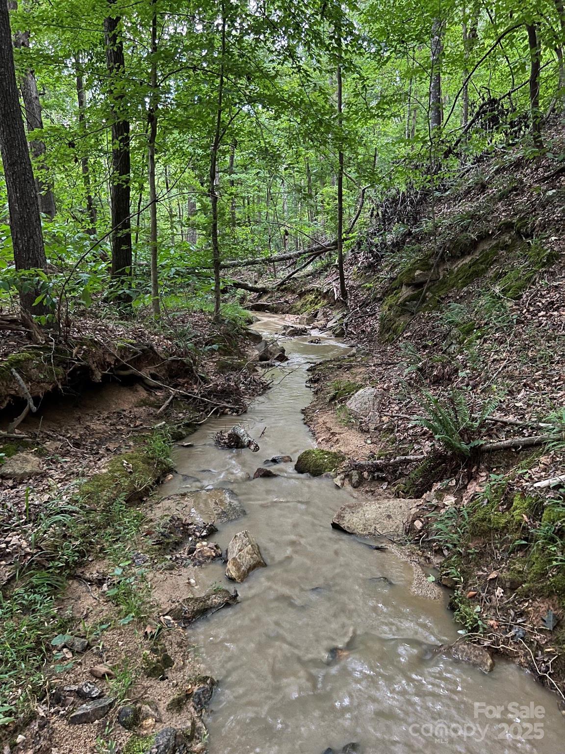 8277 Lockhart Road Sharon, SC 29742 - Photo 23 of 48 a view of a forest with trees