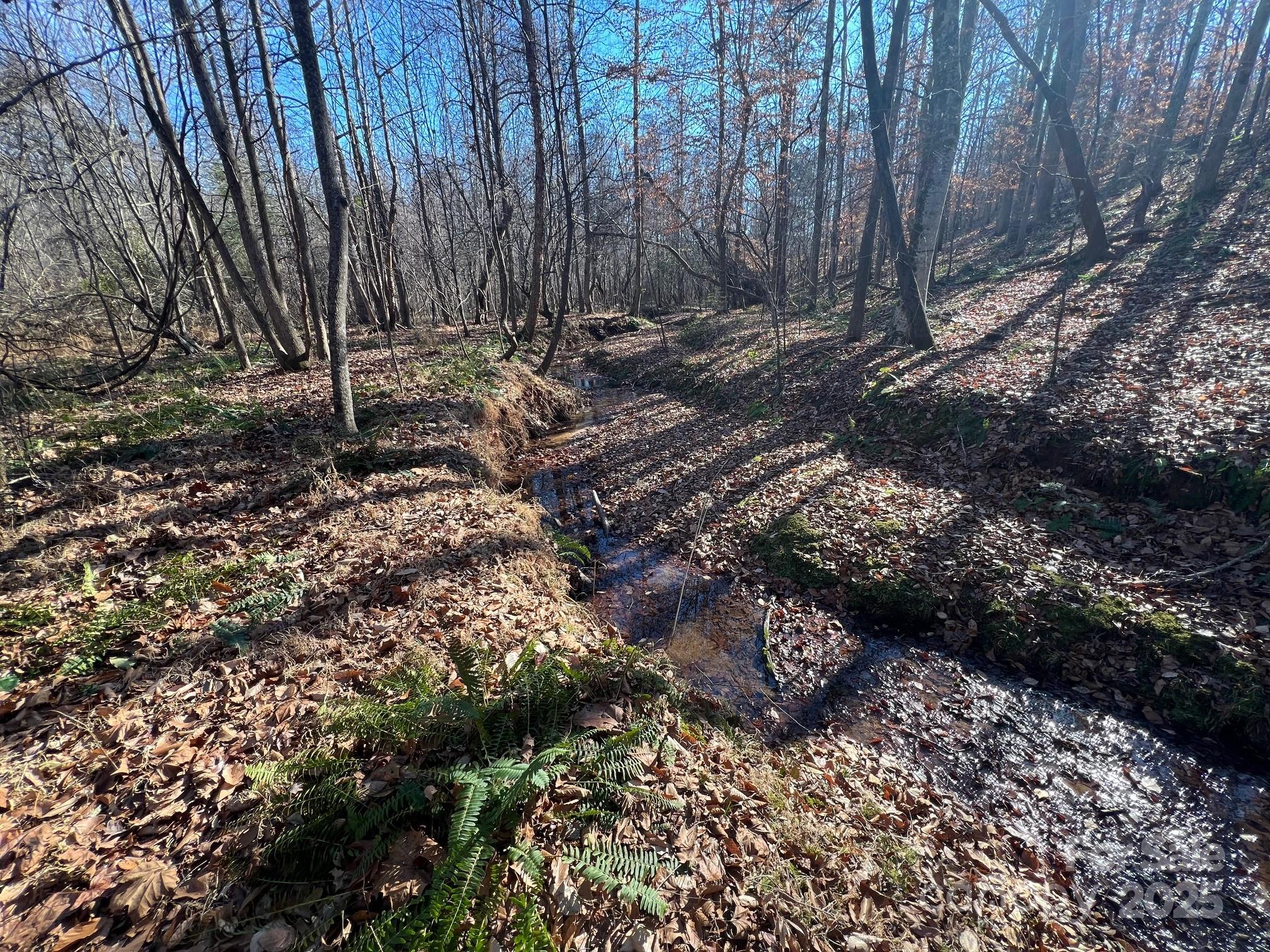 8277 Lockhart Road Sharon, SC 29742 - Photo 26 of 48 a view of outdoor space with trees