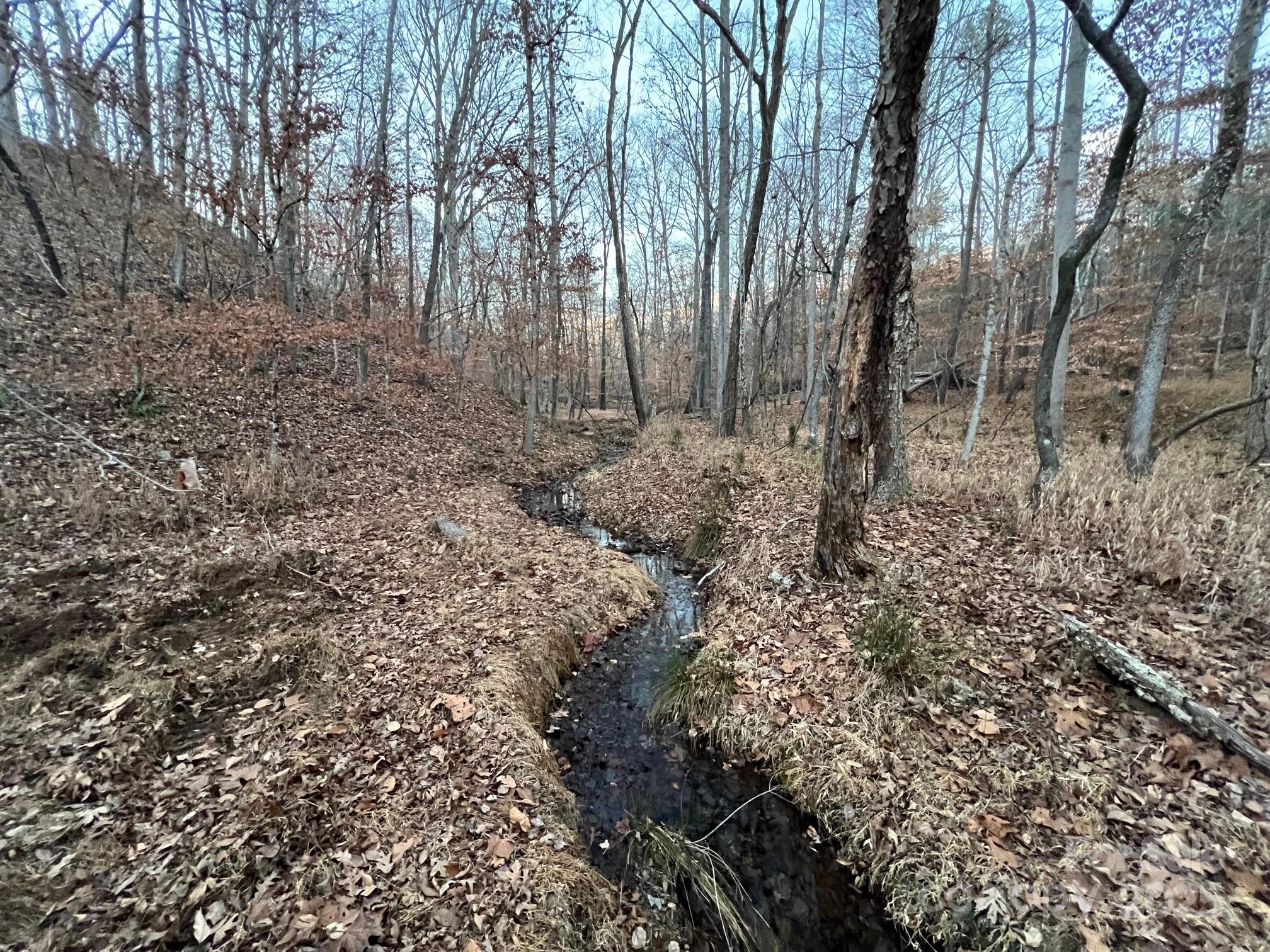 8277 Lockhart Road Sharon, SC 29742 - Photo 27 of 48 a view of forest