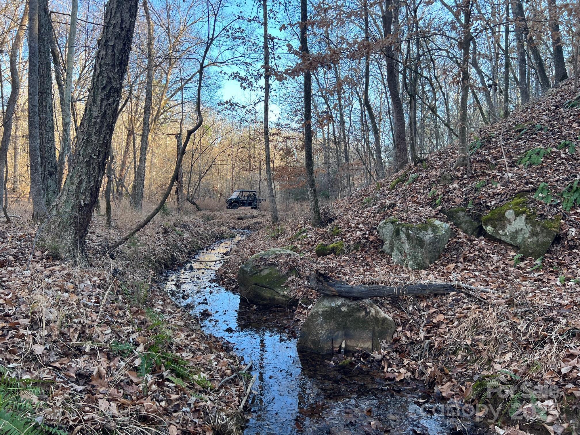 8277 Lockhart Road Sharon, SC 29742 - Photo 28 of 48 a backyard of a house with lots of green space