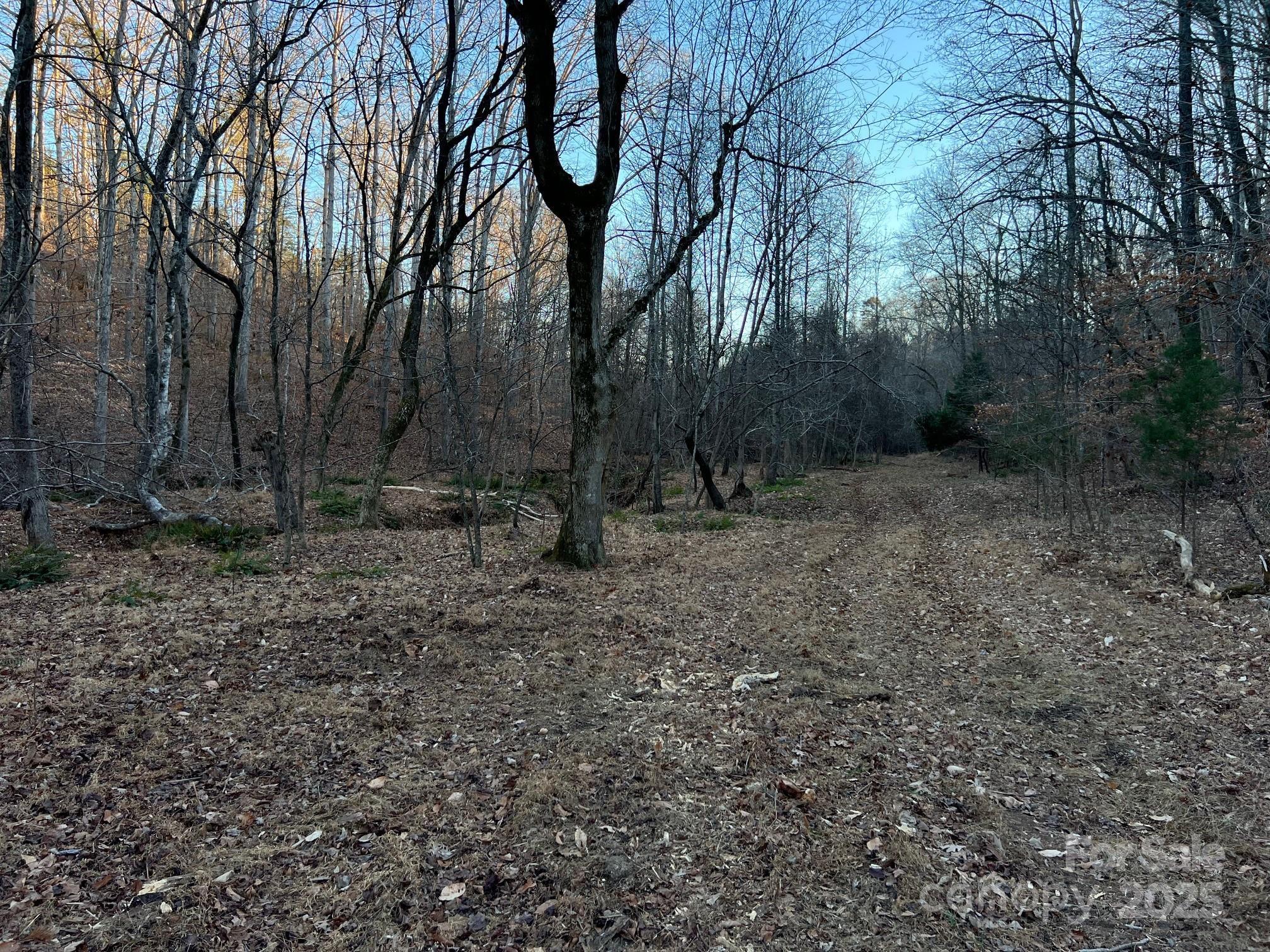 8277 Lockhart Road Sharon, SC 29742 - Photo 29 of 48 a view of a backyard with trees