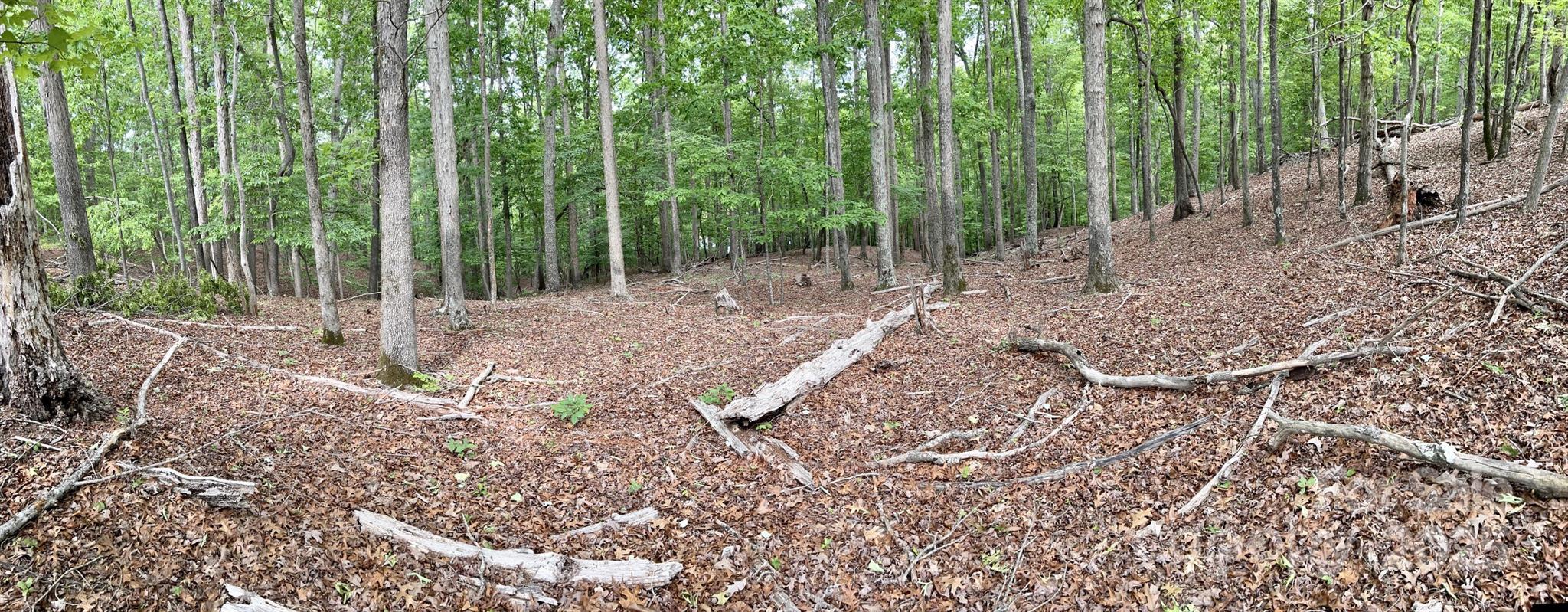 8277 Lockhart Road Sharon, SC 29742 - Photo 30 of 48 a backyard of a house with lots of green space