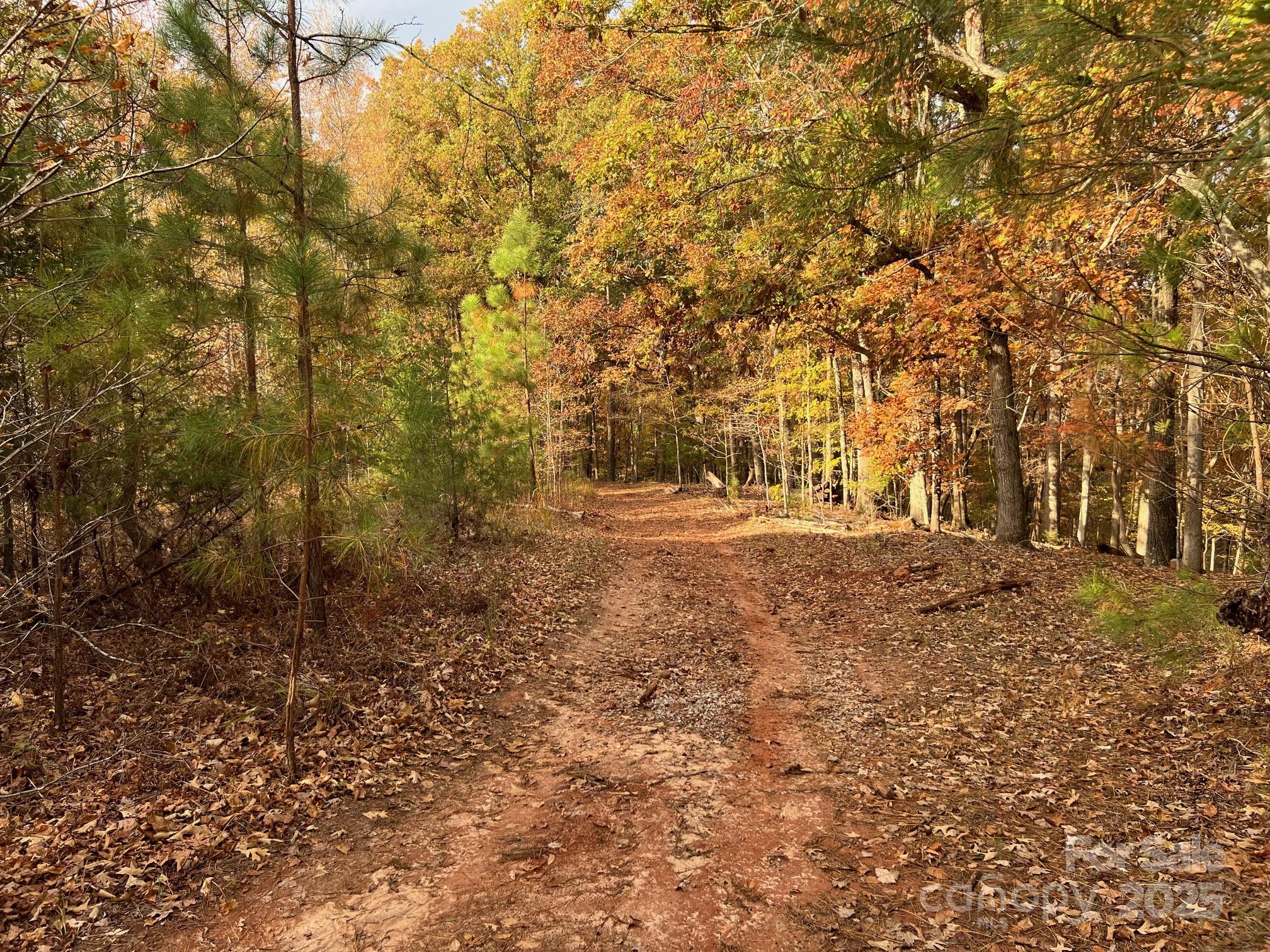 8277 Lockhart Road Sharon, SC 29742 - Photo 31 of 48 a view of outdoor space and yard