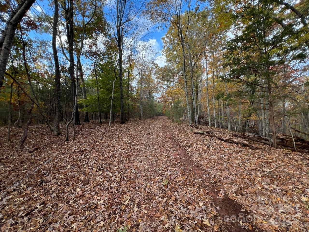 8277 Lockhart Road Sharon, SC 29742 - Photo 34 of 48 a backyard of a house with lots of green space