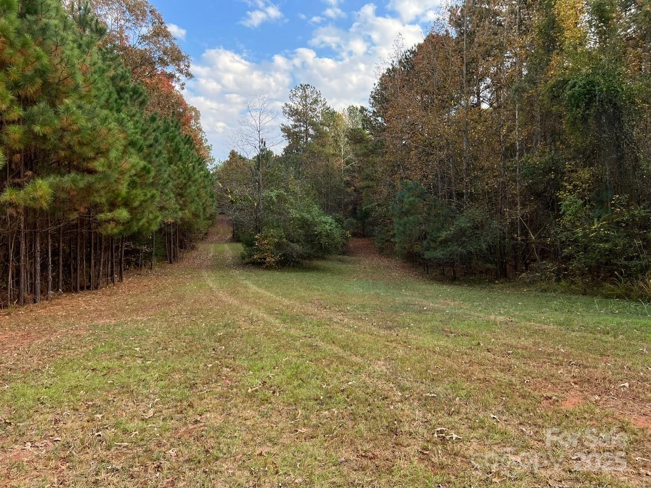 8277 Lockhart Road Sharon, SC 29742 - Photo 35 of 48 a view of outdoor space and yard