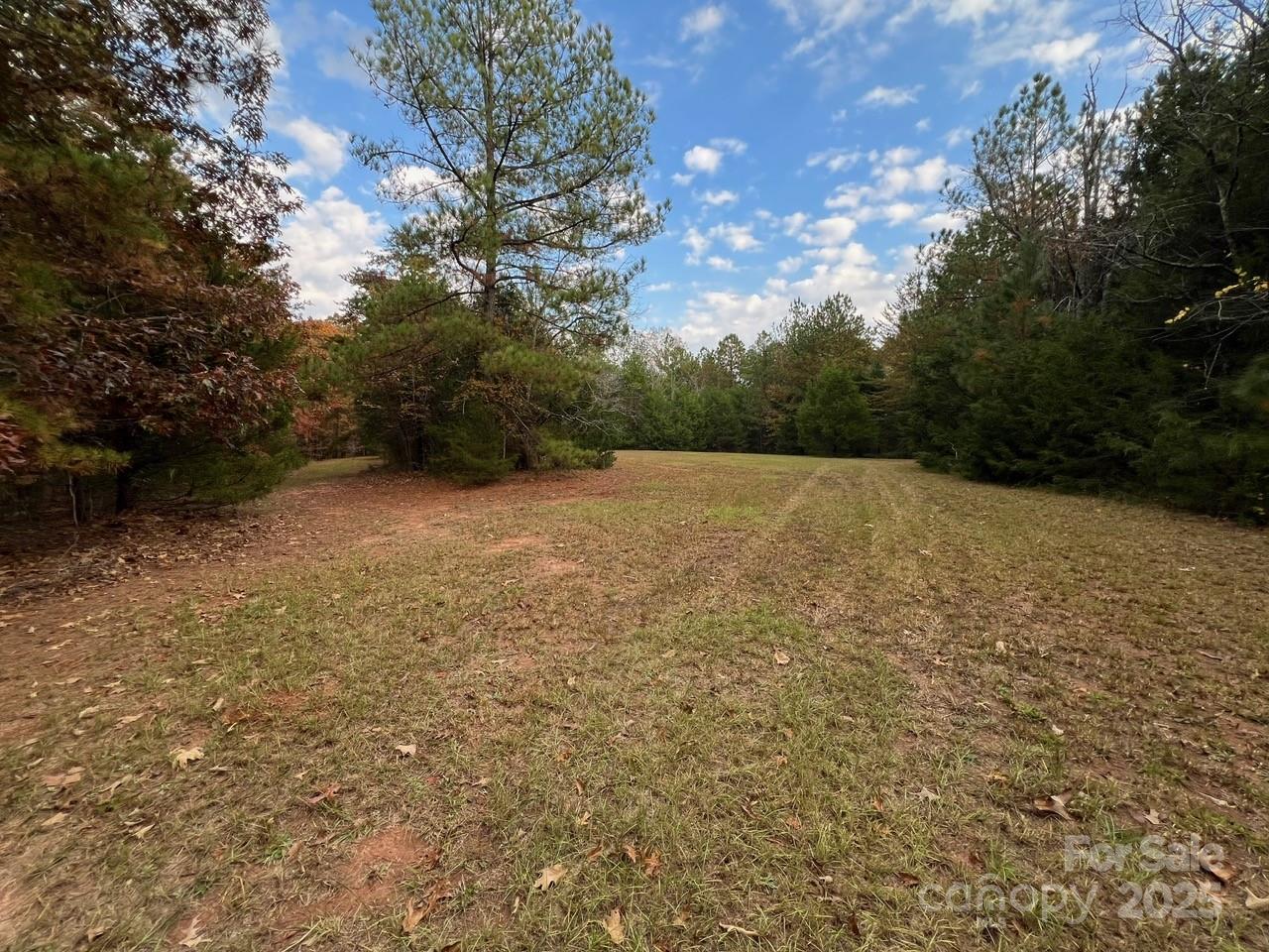 8277 Lockhart Road Sharon, SC 29742 - Photo 38 of 48 a view of empty field with trees
