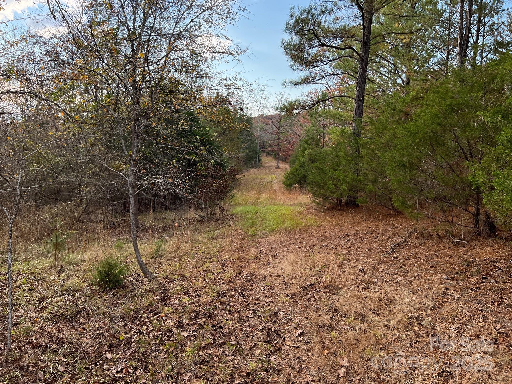 8277 Lockhart Road Sharon, SC 29742 - Photo 40 of 48 a backyard of a house