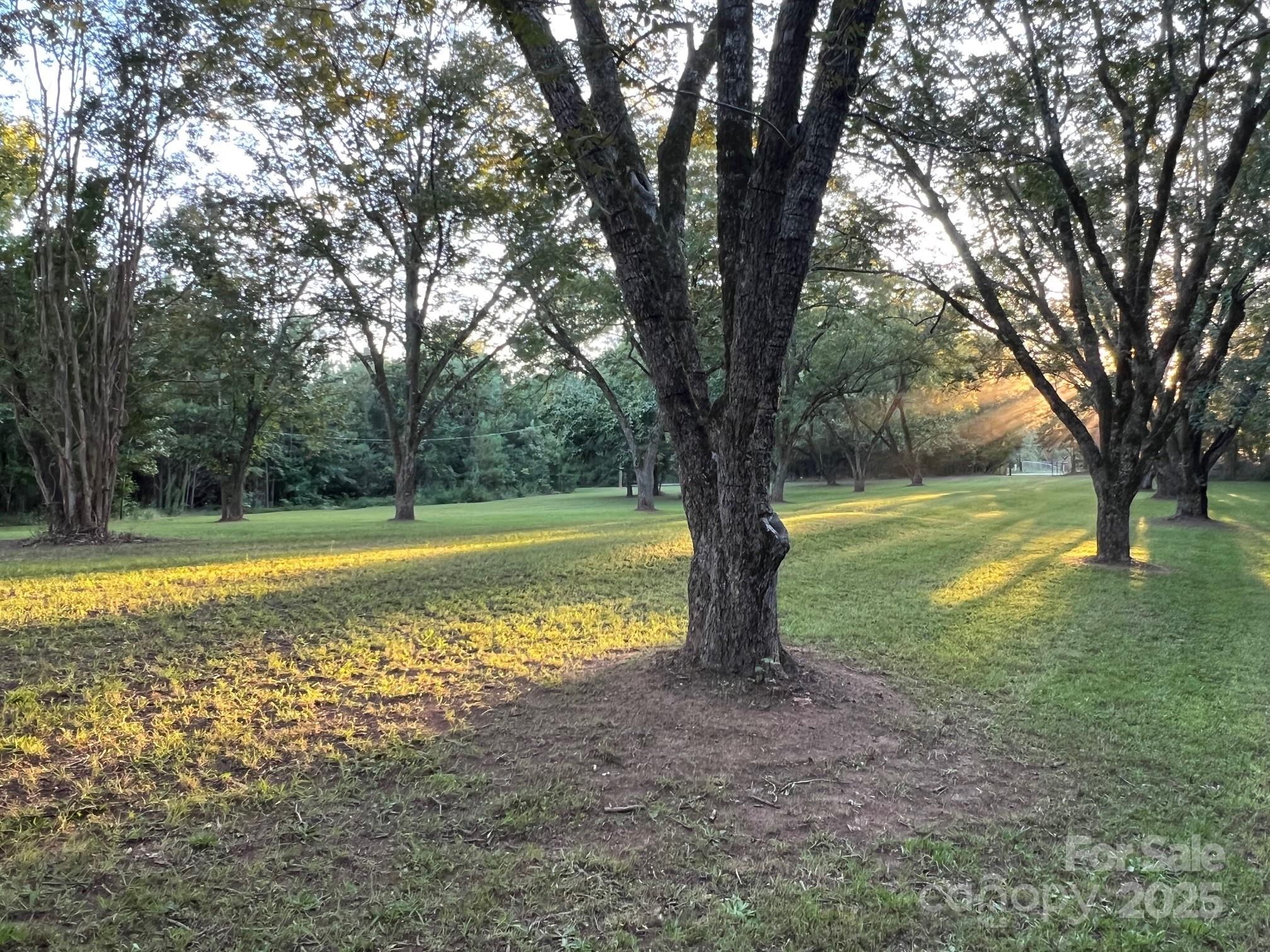 8277 Lockhart Road Sharon, SC 29742 - Photo 47 of 48 a view of a trees and yard