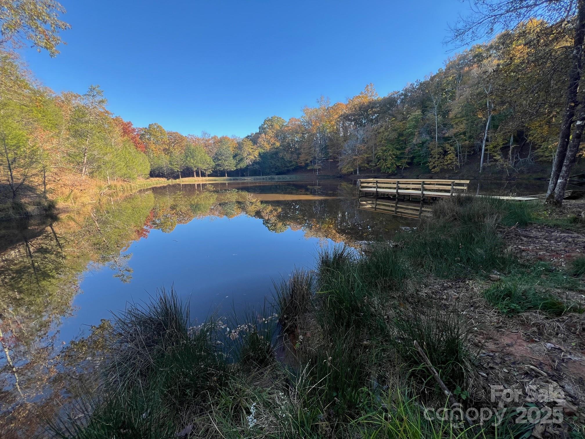 8277 Lockhart Road Sharon, SC 29742 - Photo 10 of 48 a view of lake with green space