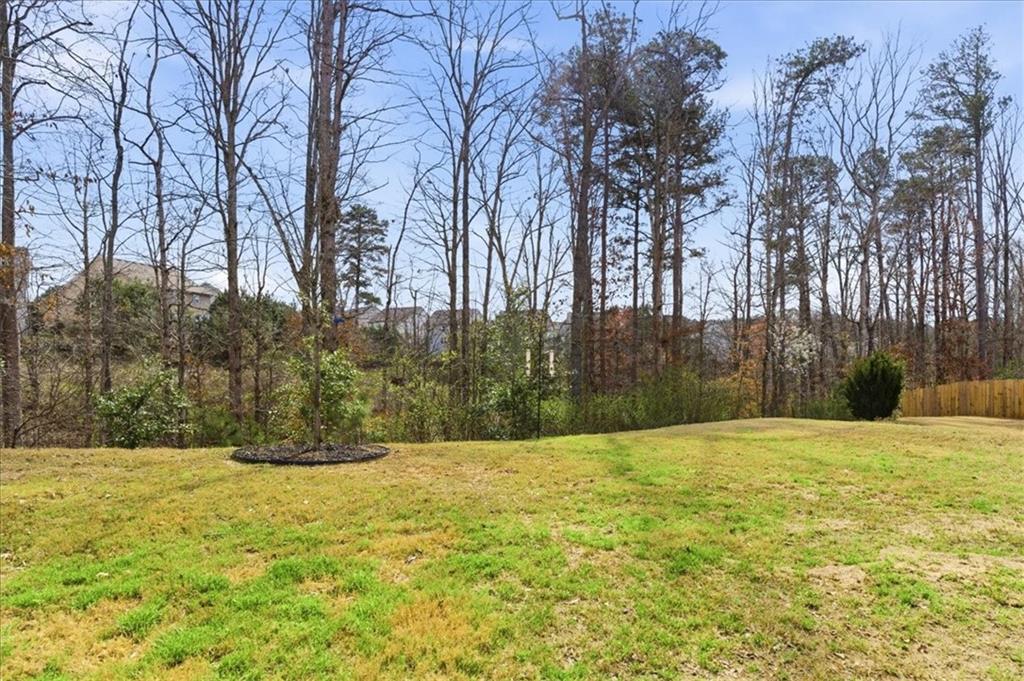 511 Payne Road Woodstock, GA 30188 - Photo 41 of 44