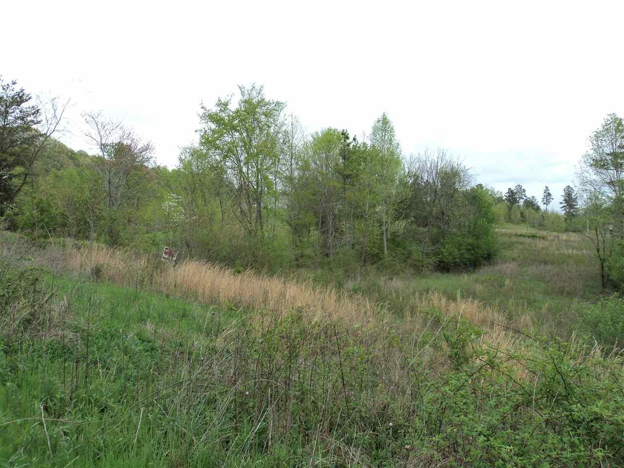 118 Co Road Riceville, TN 37370 - Photo 8 of 8 Gallery Image 8