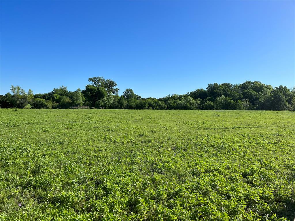 12303 Highway 67 Nemo, TX 76070 - Photo 15 of 18 a view of a green field with plants in the background