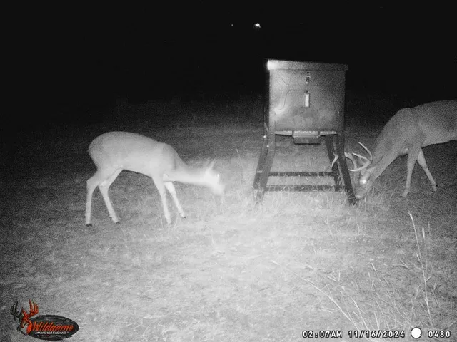 a close up of a sink