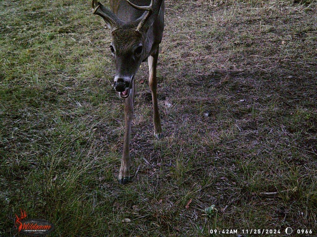 12303 Highway 67 Nemo, TX 76070 - Photo 17 of 18 a close up of a sink