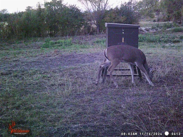 $275,000 | 12303 Highway 67, Nemo, TX 76070