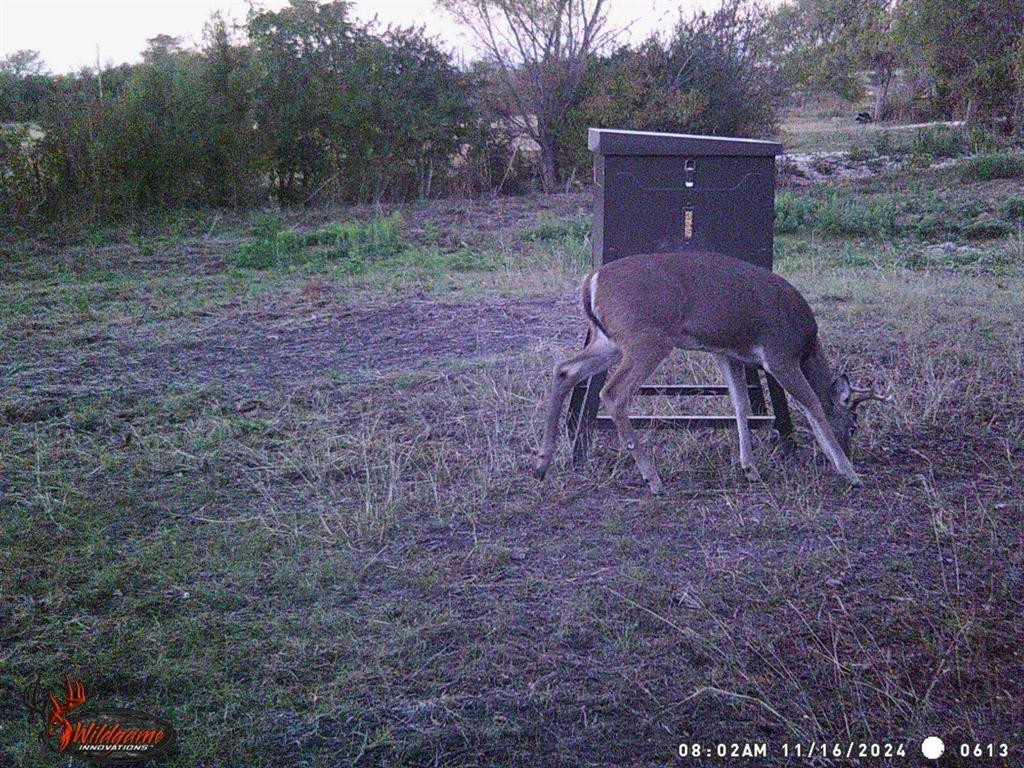 12303 Highway 67 Nemo, TX 76070 - Photo 18 of 18 a view of a yard