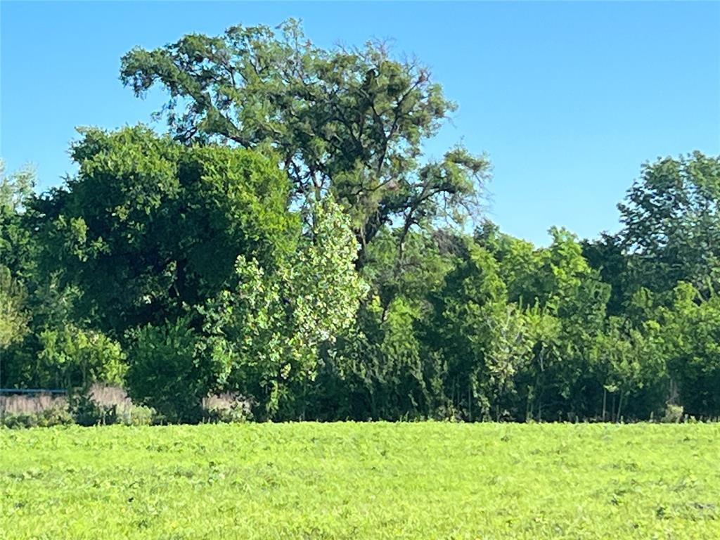 12303 Highway 67 Nemo, TX 76070 - Photo 2 of 18 a view of garden with trees