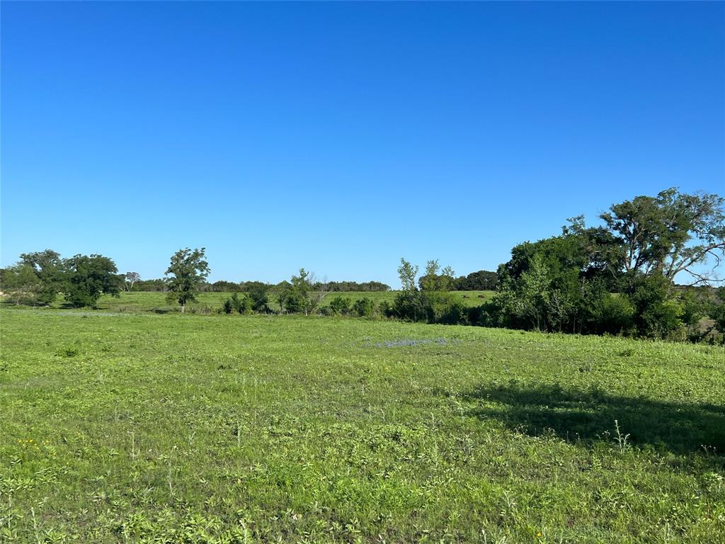 12303 Highway 67 Nemo, TX 76070 - Photo 3 of 18 a view of a grassy field with trees
