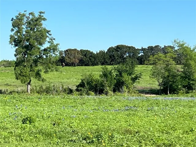 a view of a wooden fence and a yard