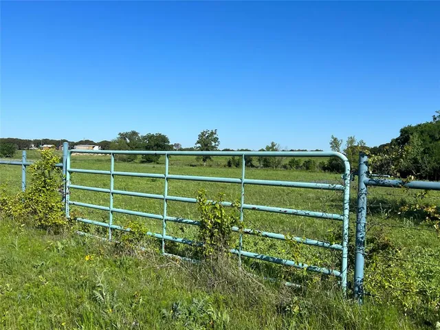 a view of a green field with plants and a large tree