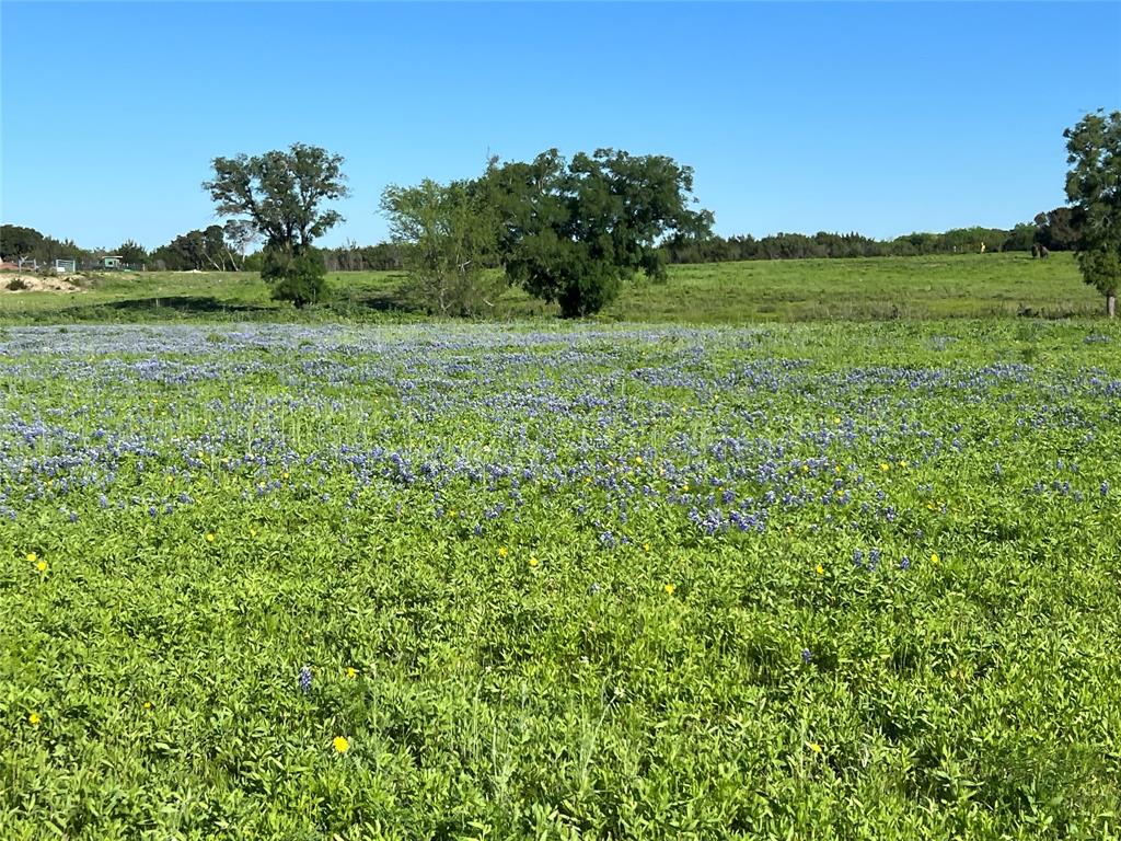 12303 Highway 67 Nemo, TX 76070 - Photo 8 of 18 a view of a garden with a lake