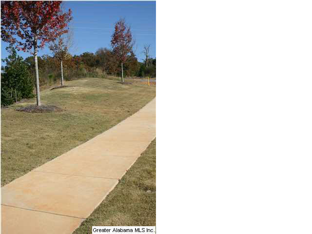 5261 Meadow Ridge Trail Bessemer, AL 35022 - Photo 24 of 25