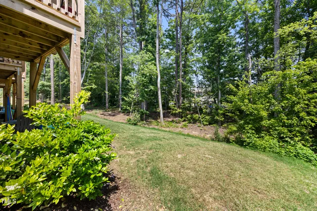 a view of a yard with plants and large trees