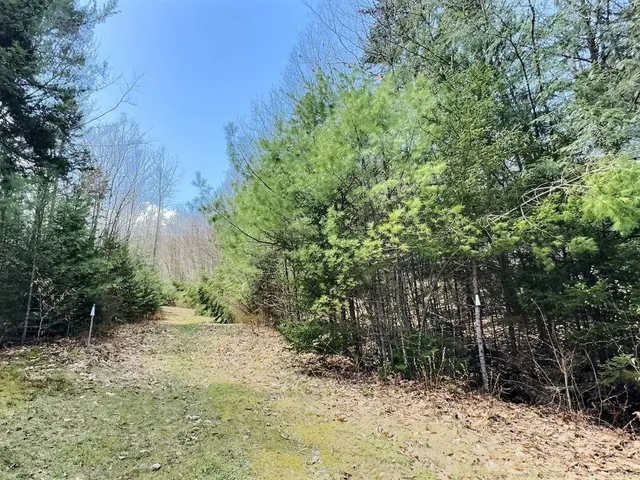 $14,000 | 0 Crest Drive, Newbury, NH 03255