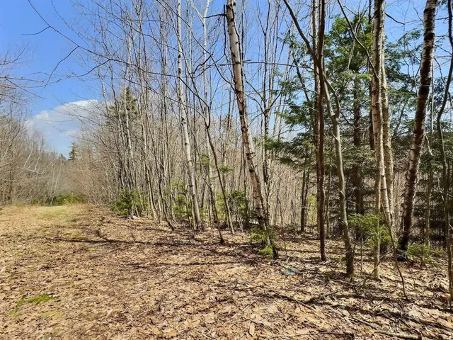 $14,000 | 0 Crest Drive, Newbury, NH 03255