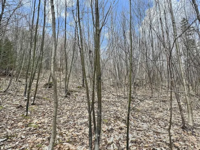 $14,000 | 0 Crest Drive, Newbury, NH 03255