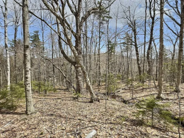 $14,000 | 0 Crest Drive, Newbury, NH 03255