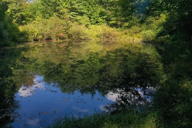 $1,250,000 | 135 Exeter Road, North Hampton, NH 03862