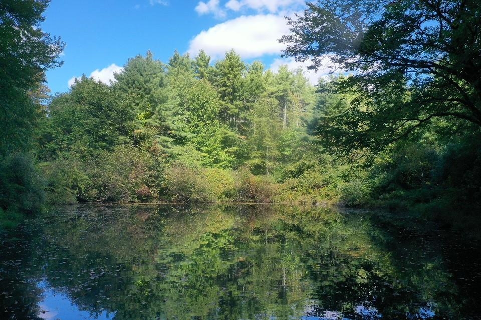 135 Exeter Road North Hampton, NH 03862 - Photo 7 of 18