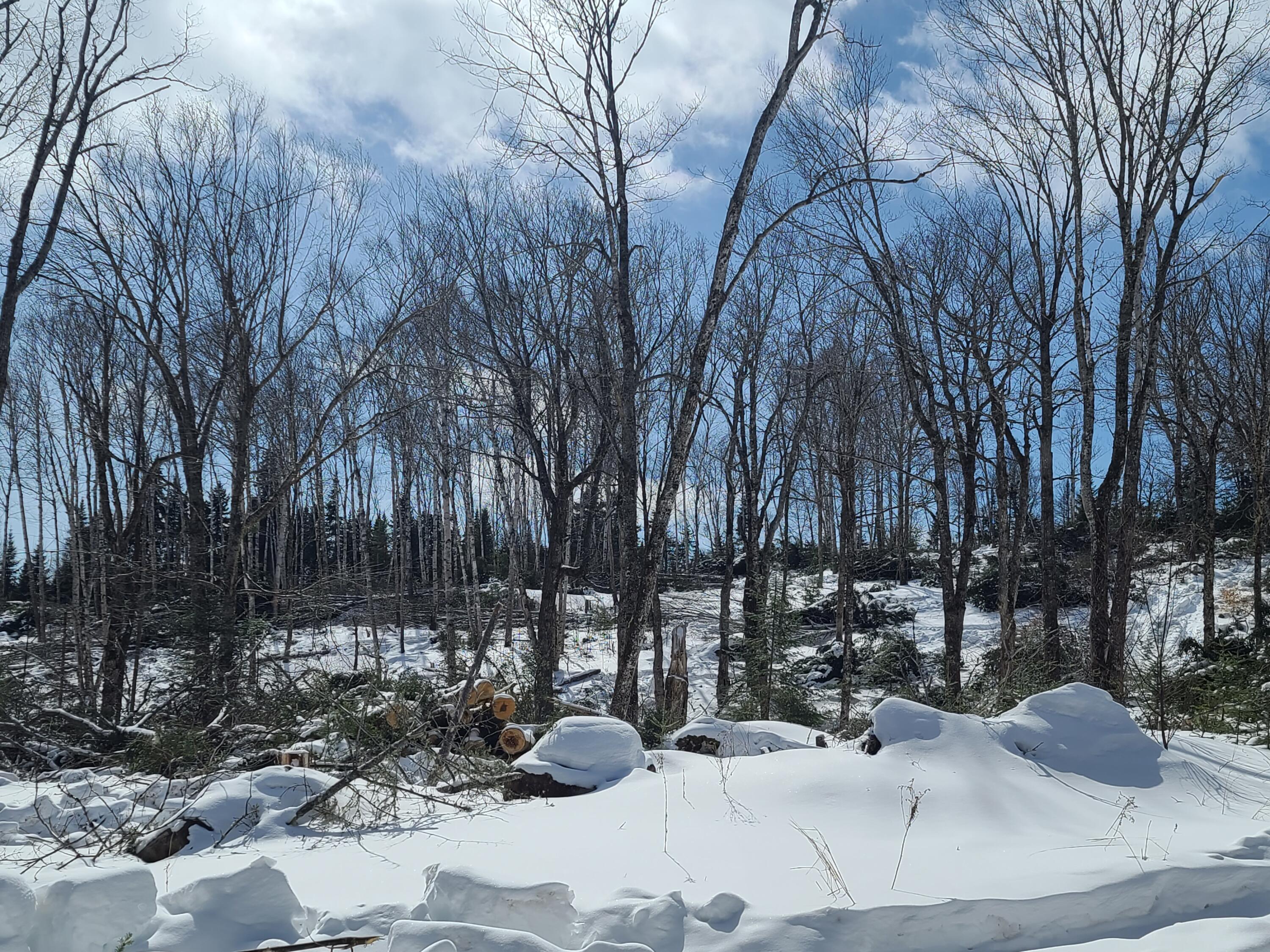 Lot 11 Loon Lake Road Rangeley, ME 04970 - Photo 10 of 16 1