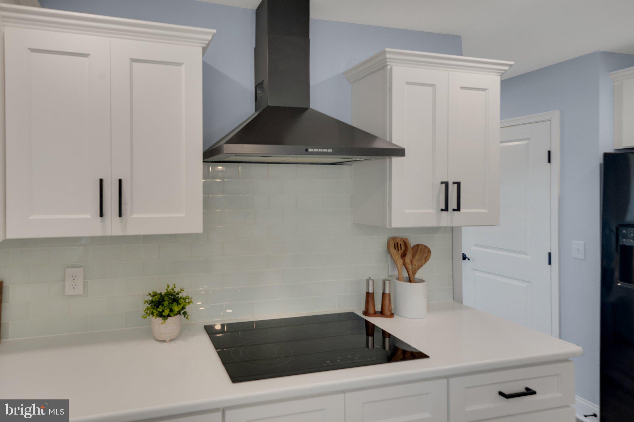 36846 Red Berry Road Delmar, DE 19940 - Photo 12 of 46 Glass cook-top with overhead vent