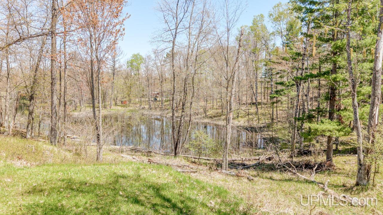 3625 Frog Lake Road North Florence, WI 54121 - Photo 15 of 23