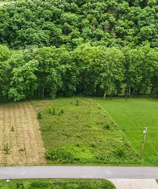 a view of garden with lake view