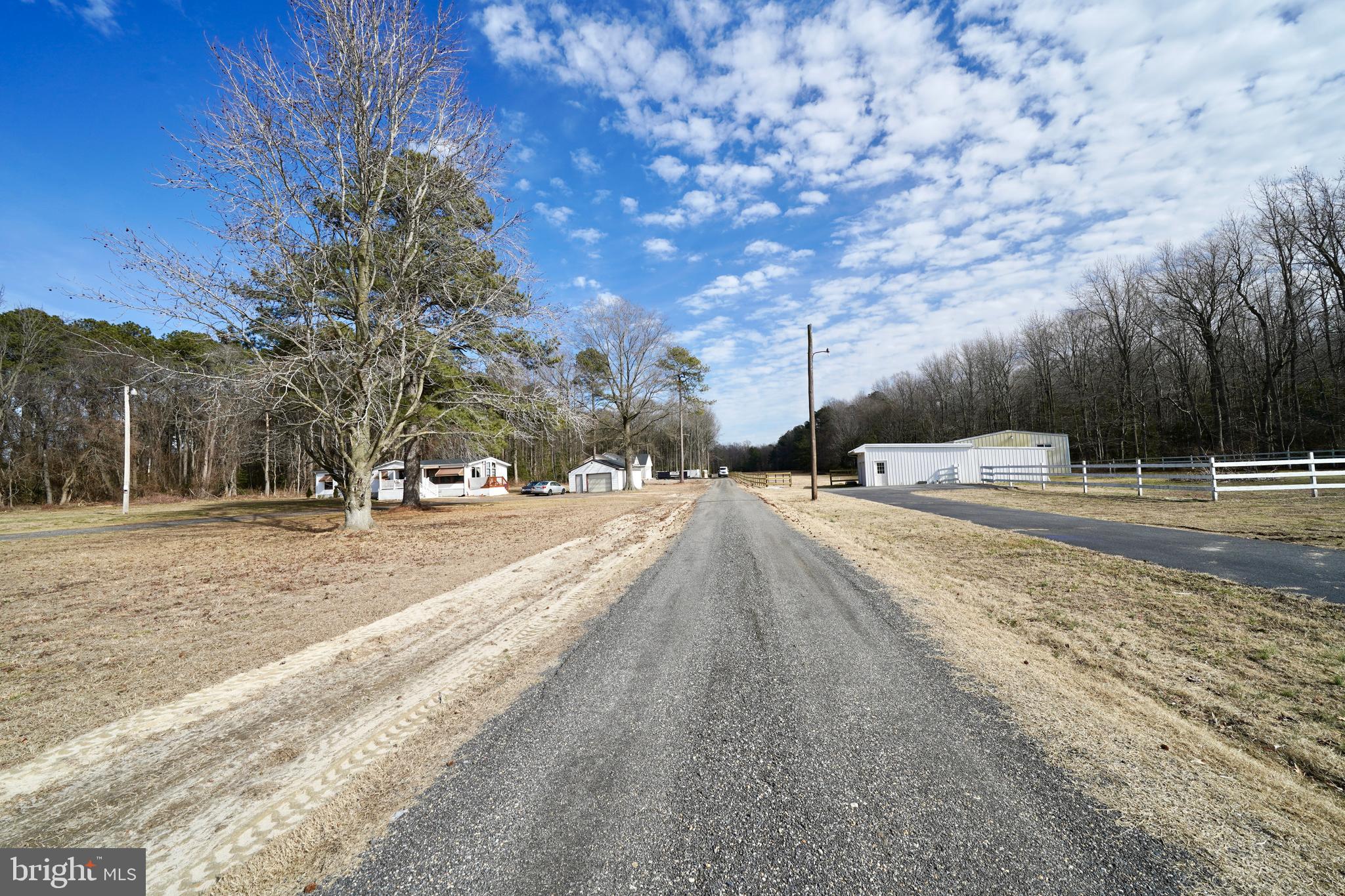 Lot 1 Megan Joy Road Lincoln, DE 19960 - Photo 4 of 12 a view of road with trees