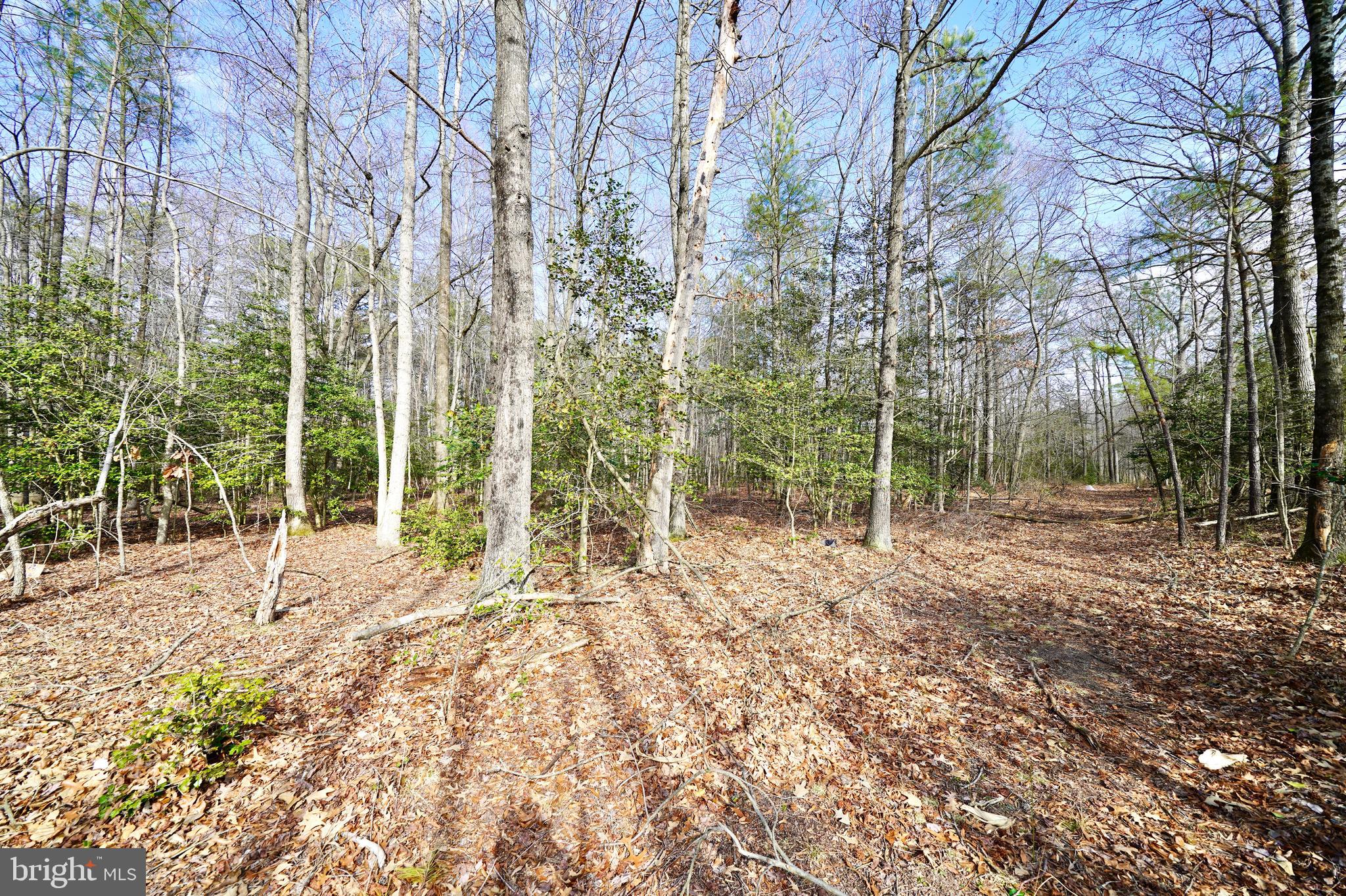 Lot 1 Megan Joy Road Lincoln, DE 19960 - Photo 6 of 12 a view of backyard with green space
