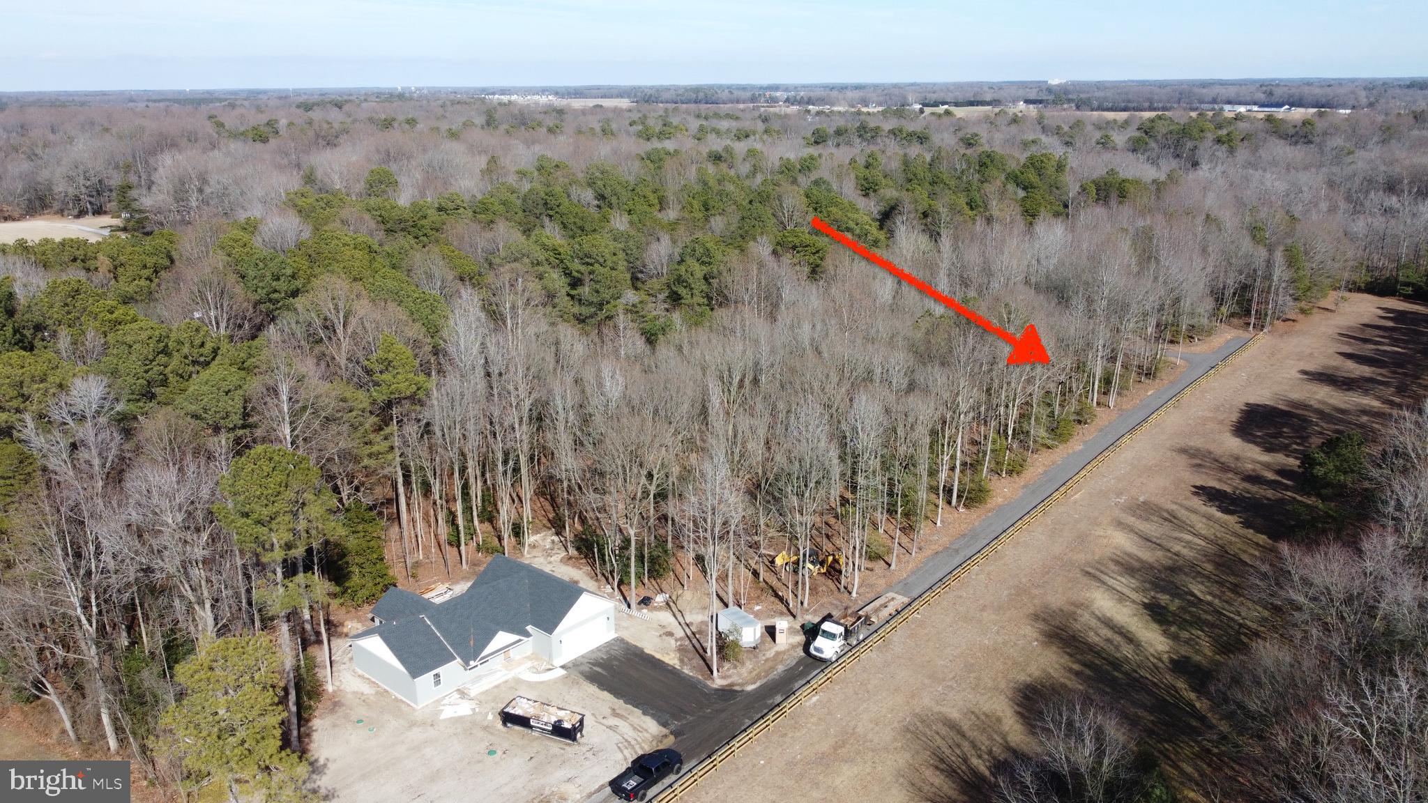 Lot 1 Megan Joy Road Lincoln, DE 19960 - Photo 9 of 12 a view of a forest with a forest