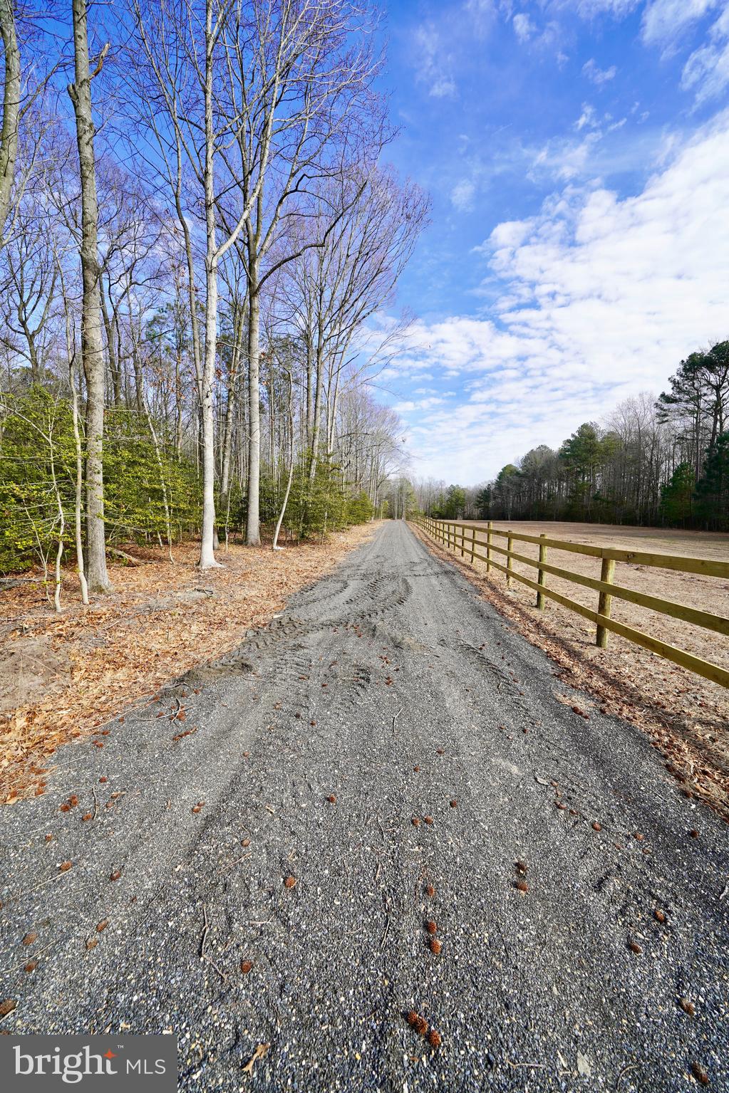 Lot 1 Megan Joy Road Lincoln, DE 19960 - Photo 10 of 12 a view of a yard with wooden fence