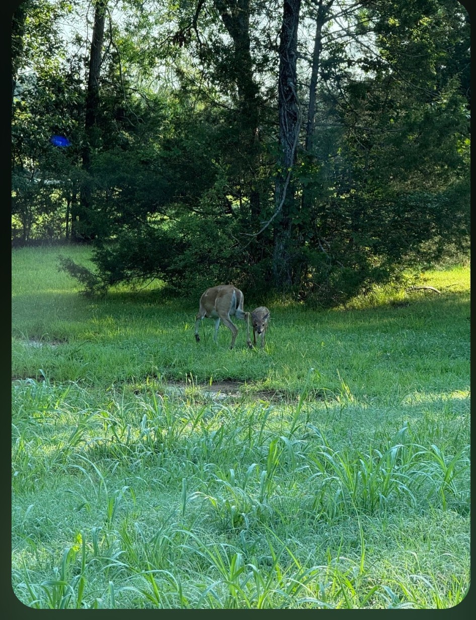 2001 Smith Hall Road Murfreesboro, TN 37130 - Photo 27 of 29 Gallery Image 27