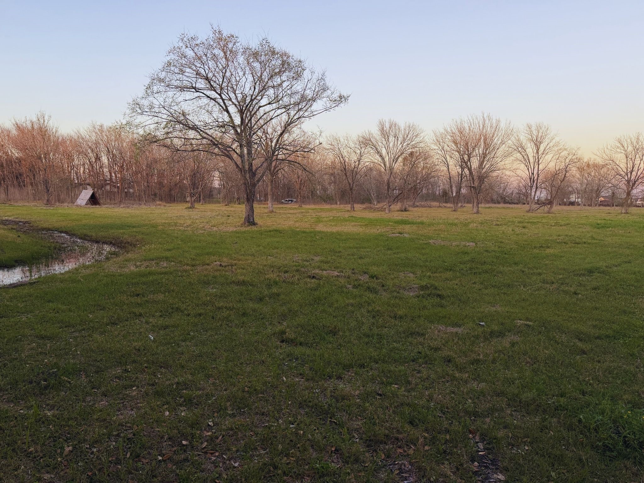 0 County Road 888 Rosharon, TX 77583 - Photo 2 of 6
