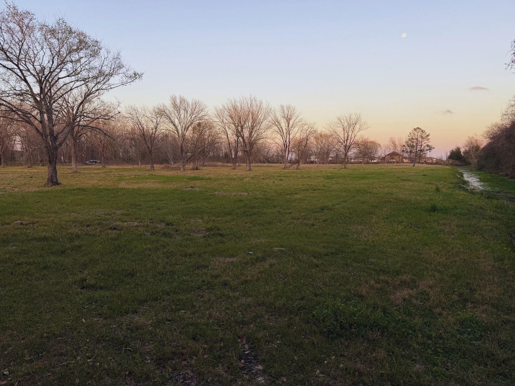 0 County Road 888 Rosharon, TX 77583 - Photo 3 of 6