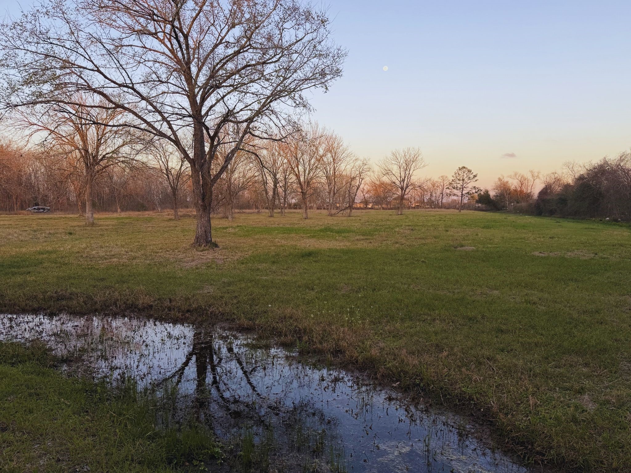 0 County Road 888 Rosharon, TX 77583 - Photo 4 of 6